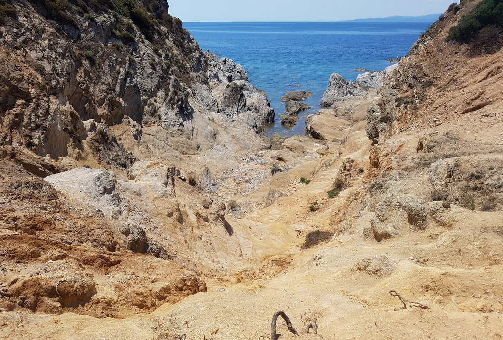  Drenia Magareća ostrva Atos 